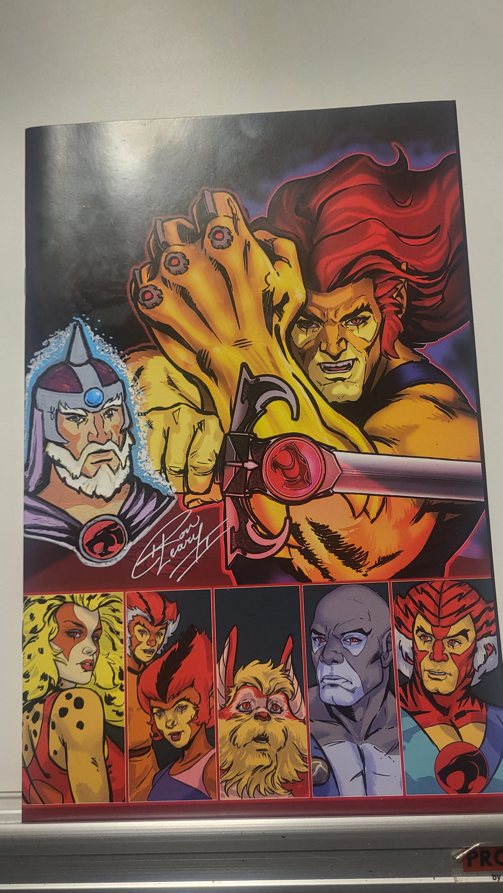 Thundercats #1 Ron Leary Exclusive variant covers